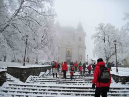 silvestr 2010